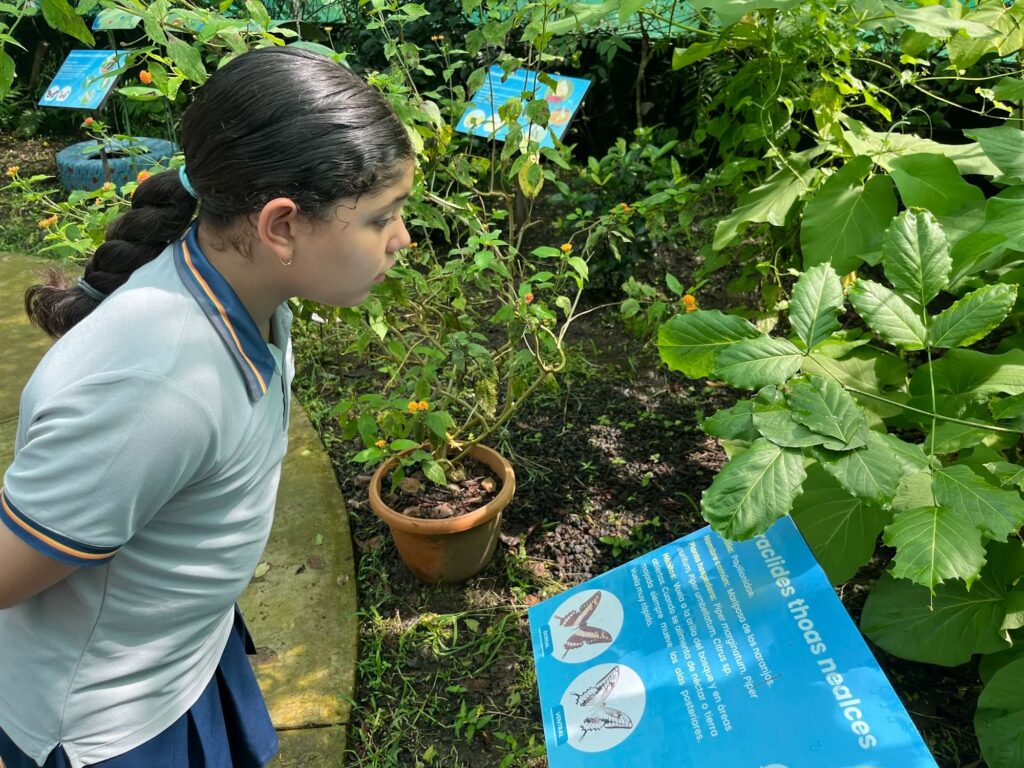 Leon School - María Paula Nuñez Boza