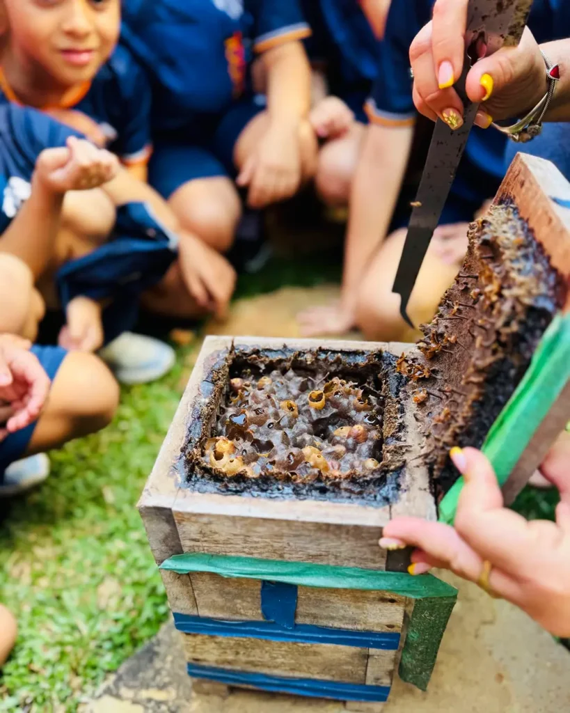 Leon School - Educación Ambiental